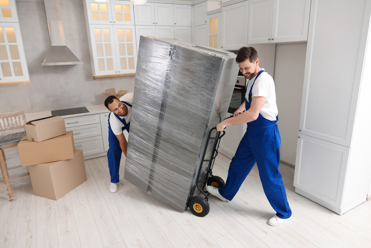 Trans-Tech-Logistics - Hausgeräte - Lieferung - Kühlschrank